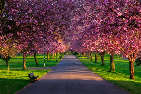 二道江公園は春になると桜でいっぱいに染まる、歴史と自然が調和する場所！