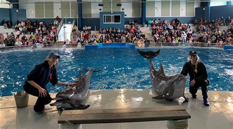 長島海洋公園でスリル満点の冒険と海の生き物たちとのふれあいを！