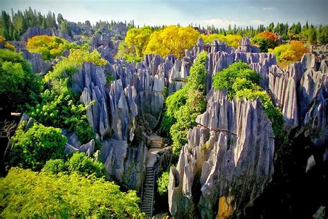  石林：壮大なカルスト地形と神秘的な雰囲気に包まれた絶景！