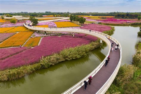  西山森林公園！広大な緑と雄大な景色を堪能しよう！